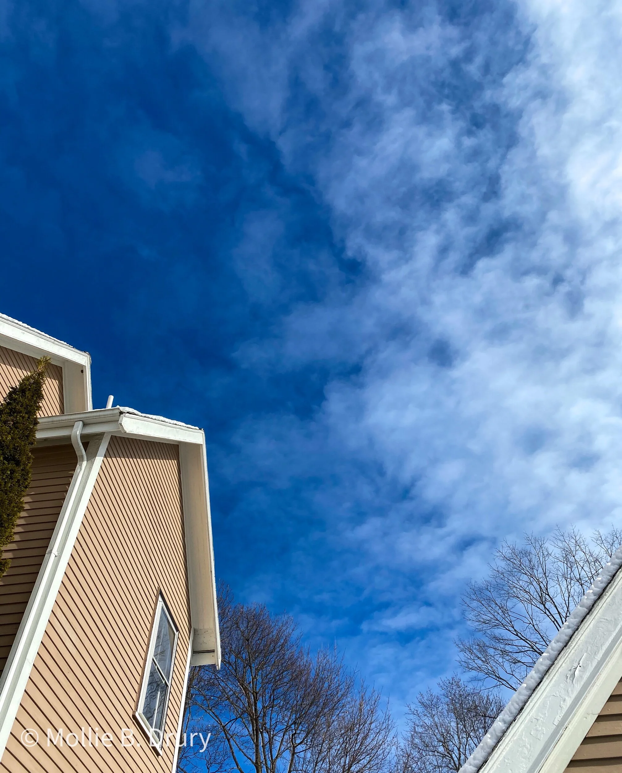 Home: One Month Update