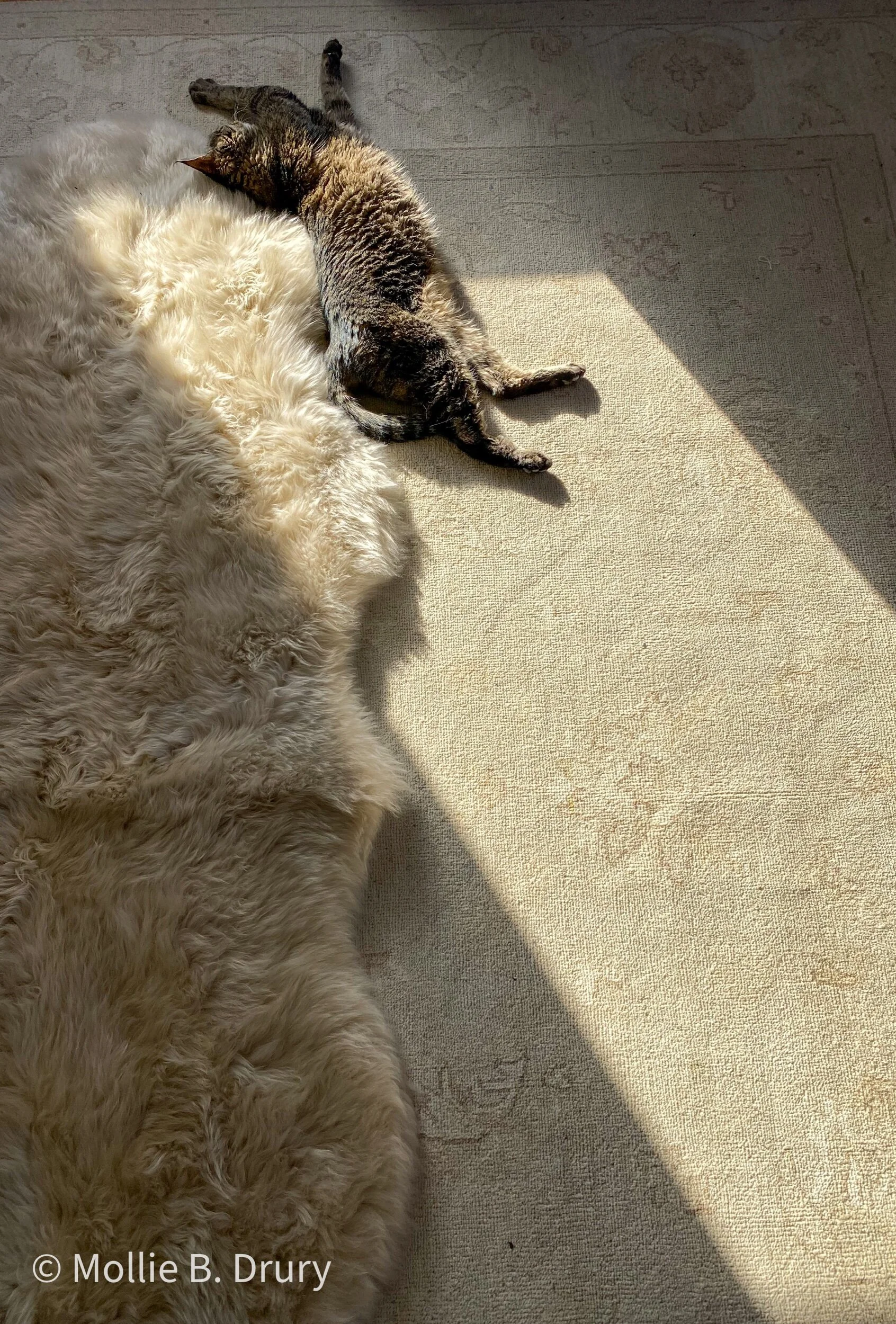 Loves the sun more than anything.