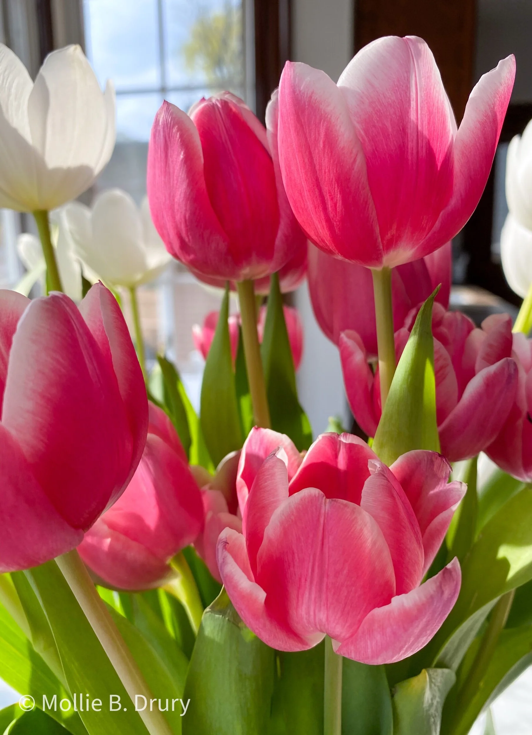 Flavor Buffet: 4/16/2021