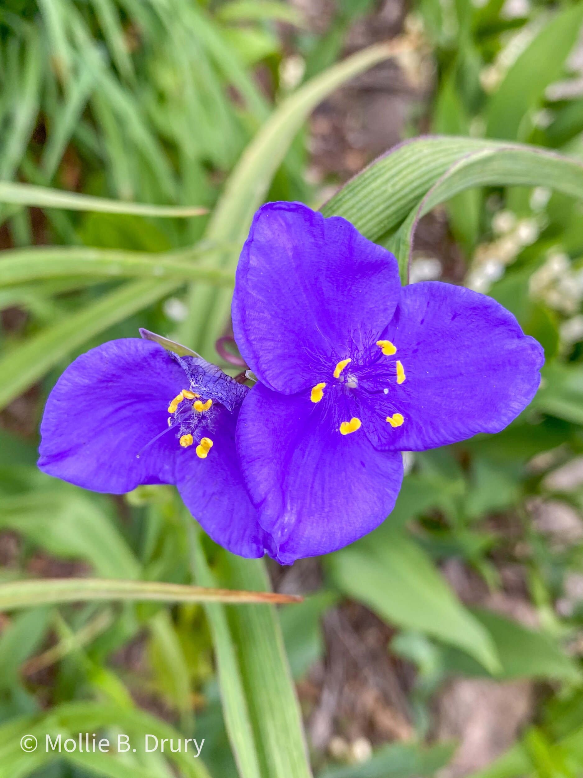 Life Right Now: May 2021