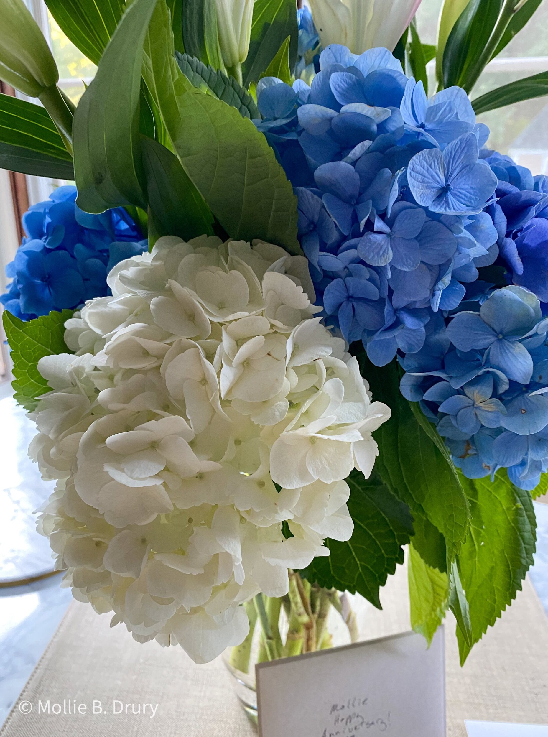 Flavor Buffet: 7/30/2021