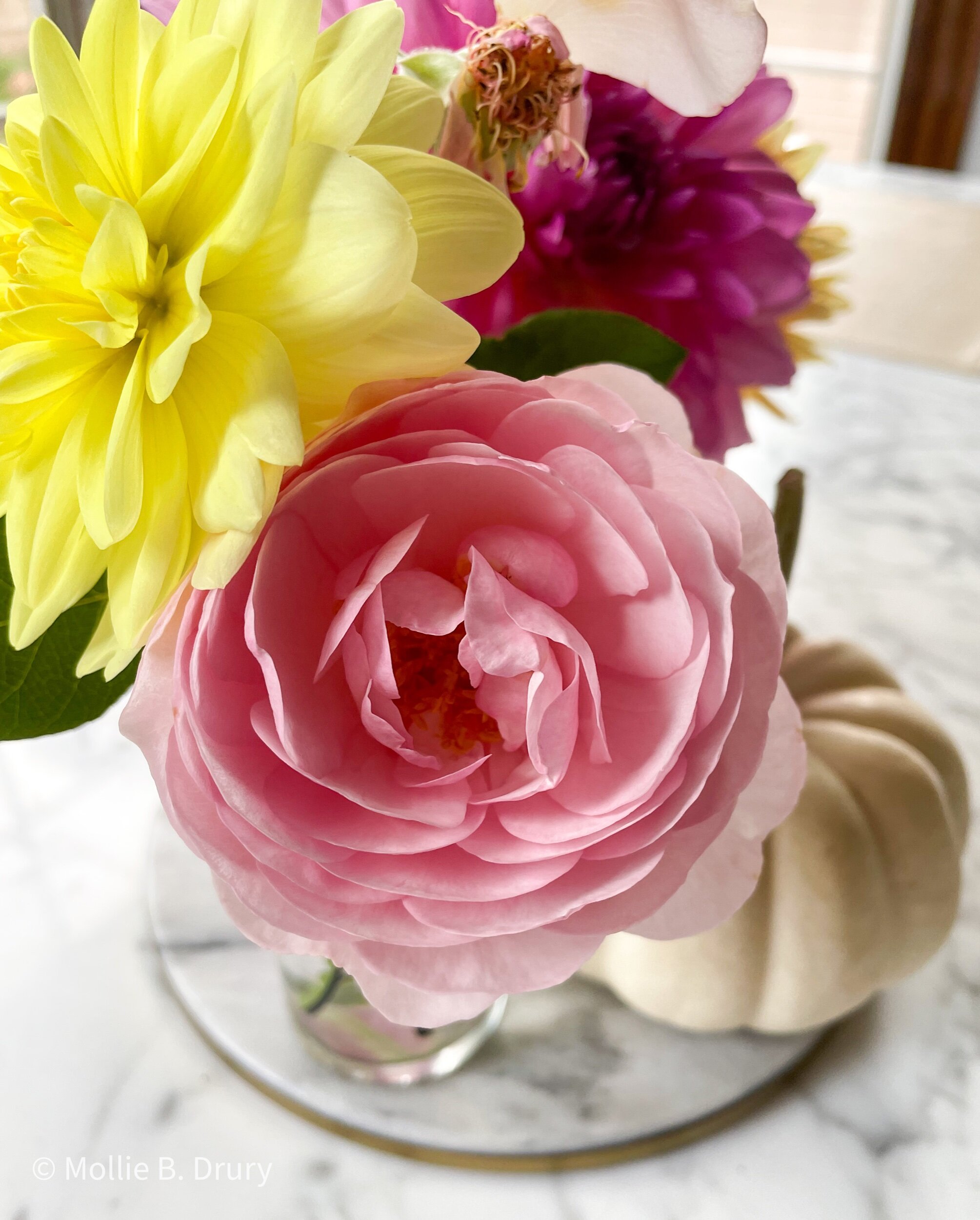 Life Right Now: 36 and Beyond