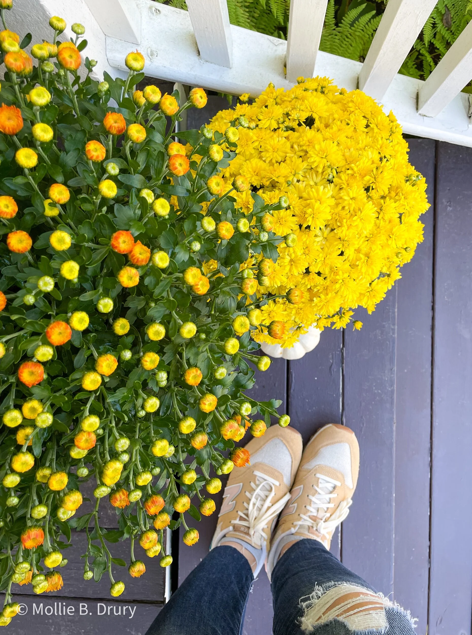 Flavor Buffet: 10/8/2021