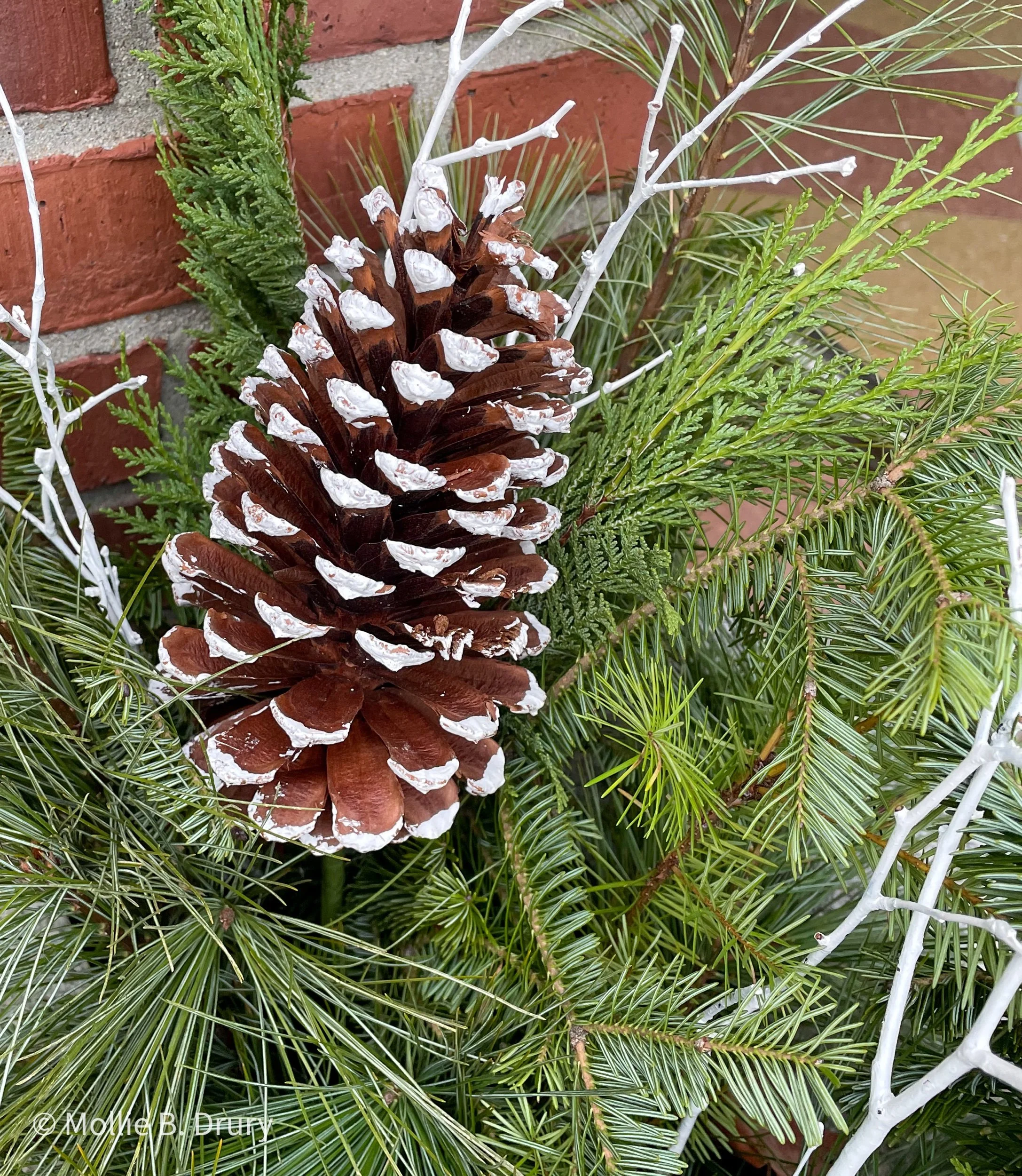 Flavor Buffet: 12/11/2021