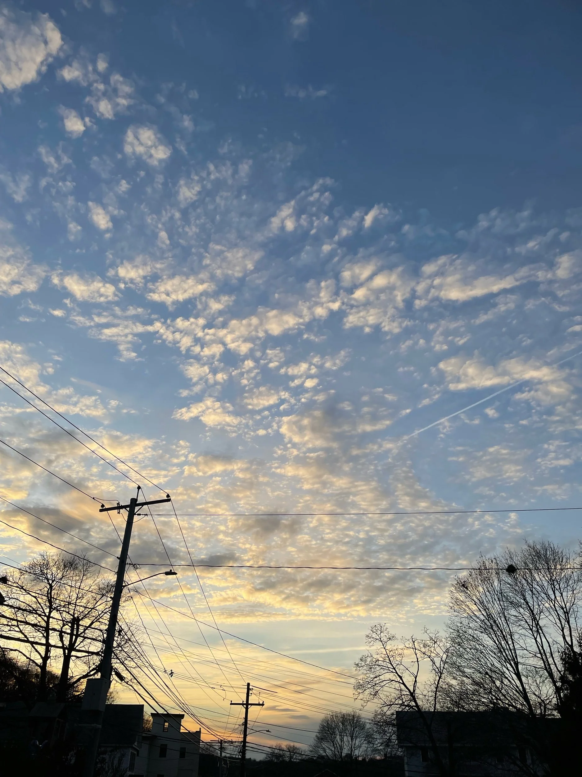 Reflections on 2021: A Year of Growth