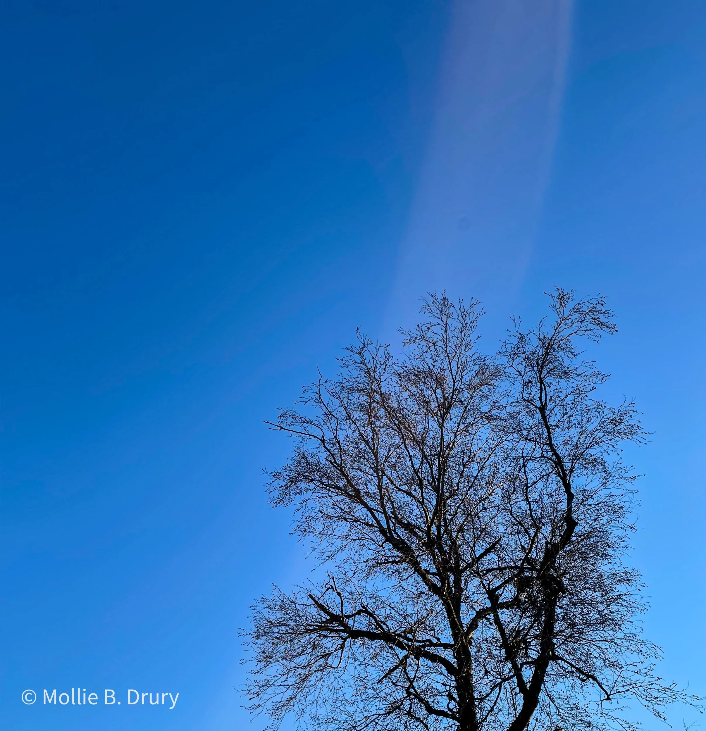 Flavor Buffet: 1/7/2022