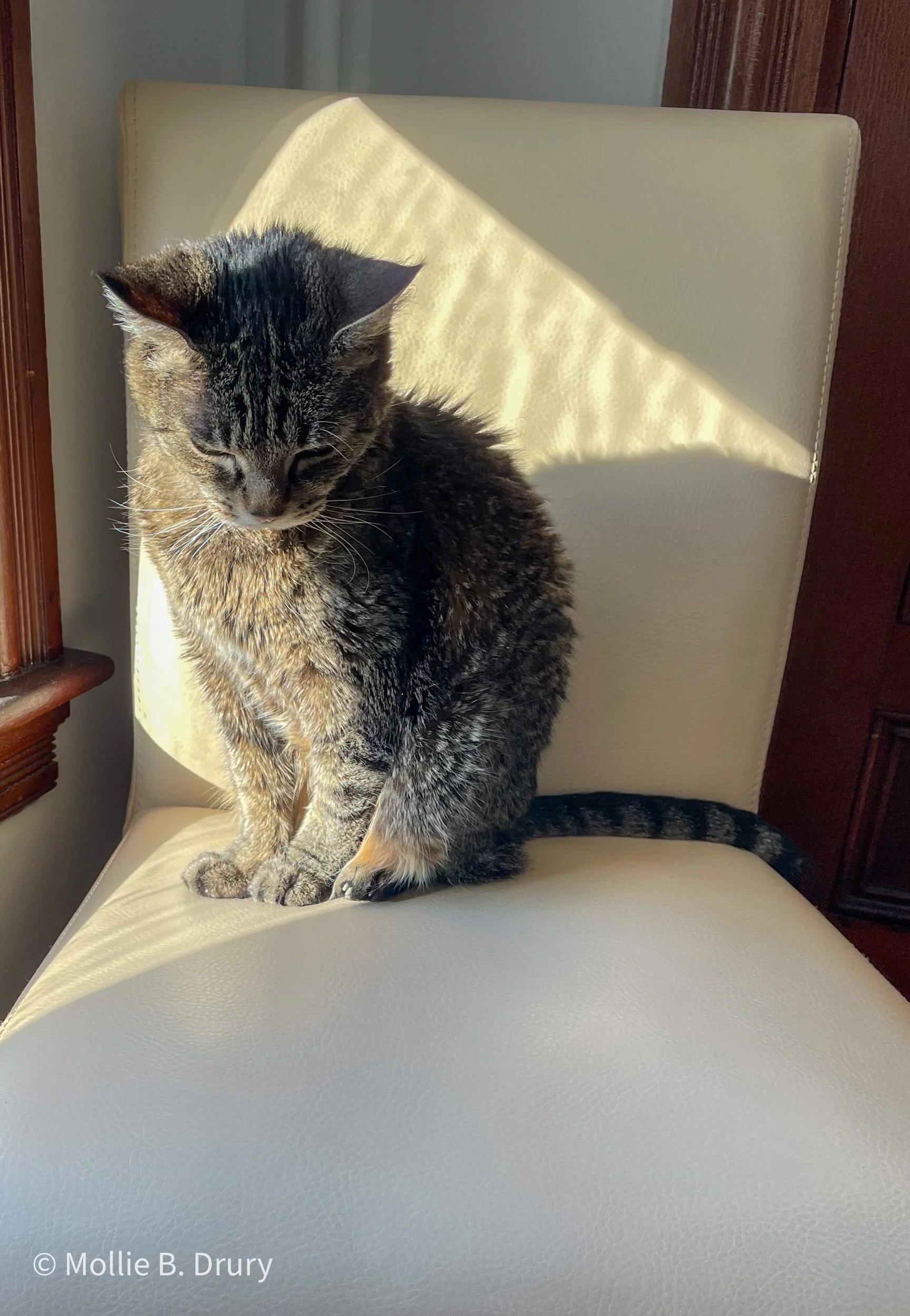 Flavor Buffet: 1/14/2022