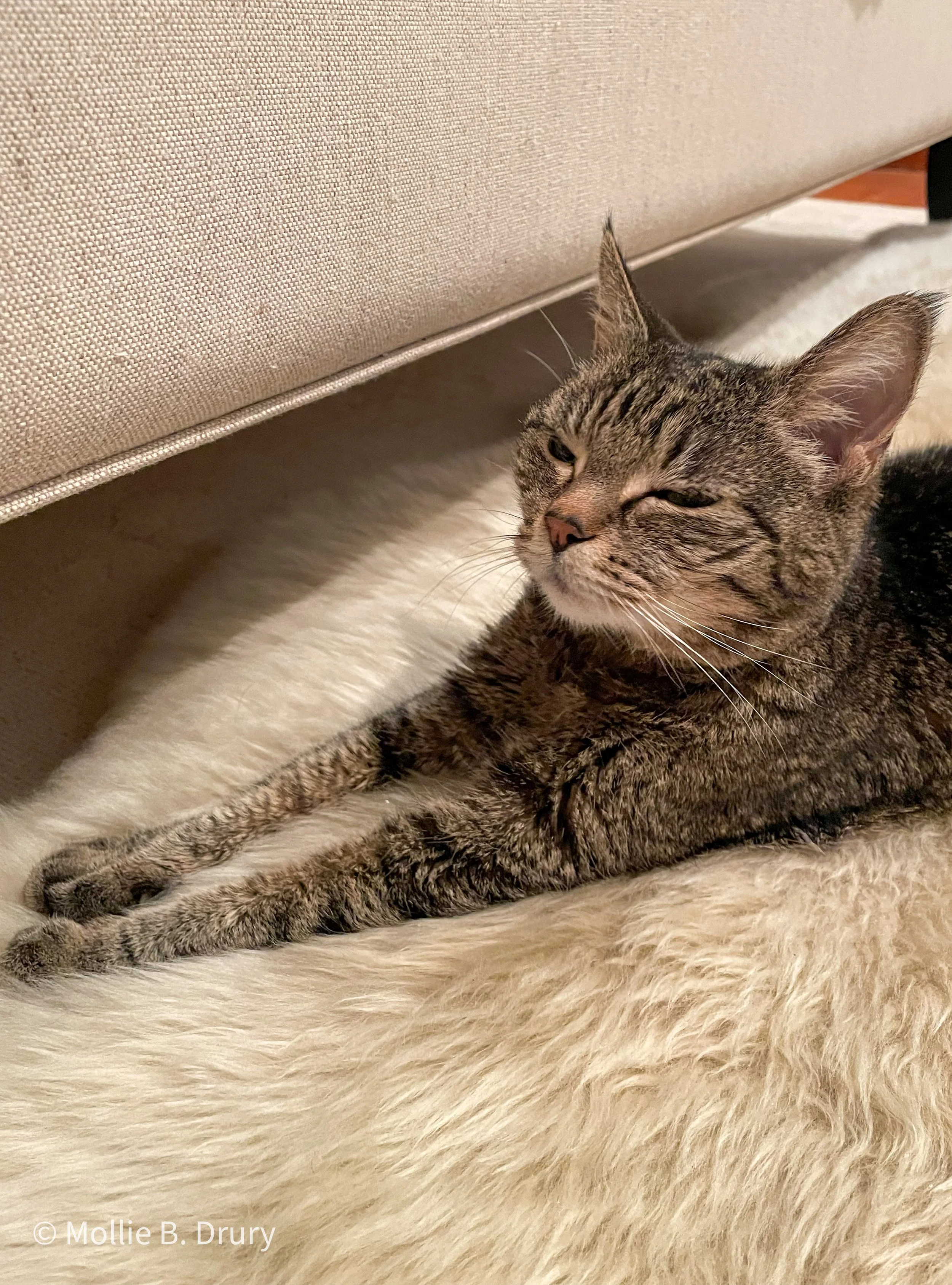 That Friday joy feeling. Happiest on “her” shearling rug.