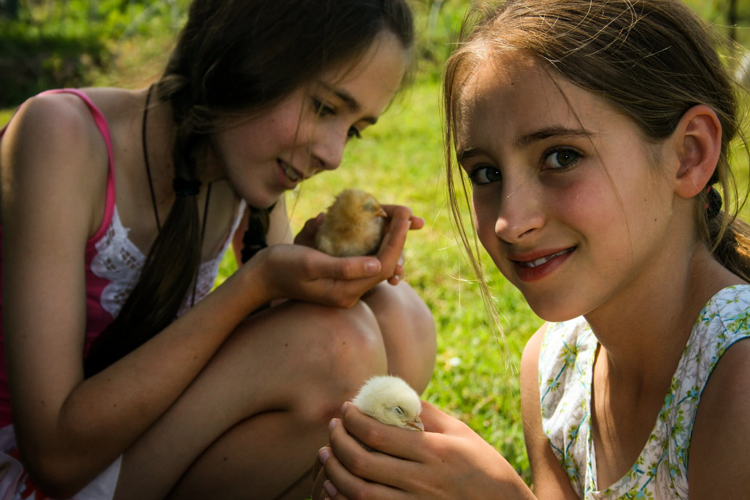 Children and Chickens.jpg