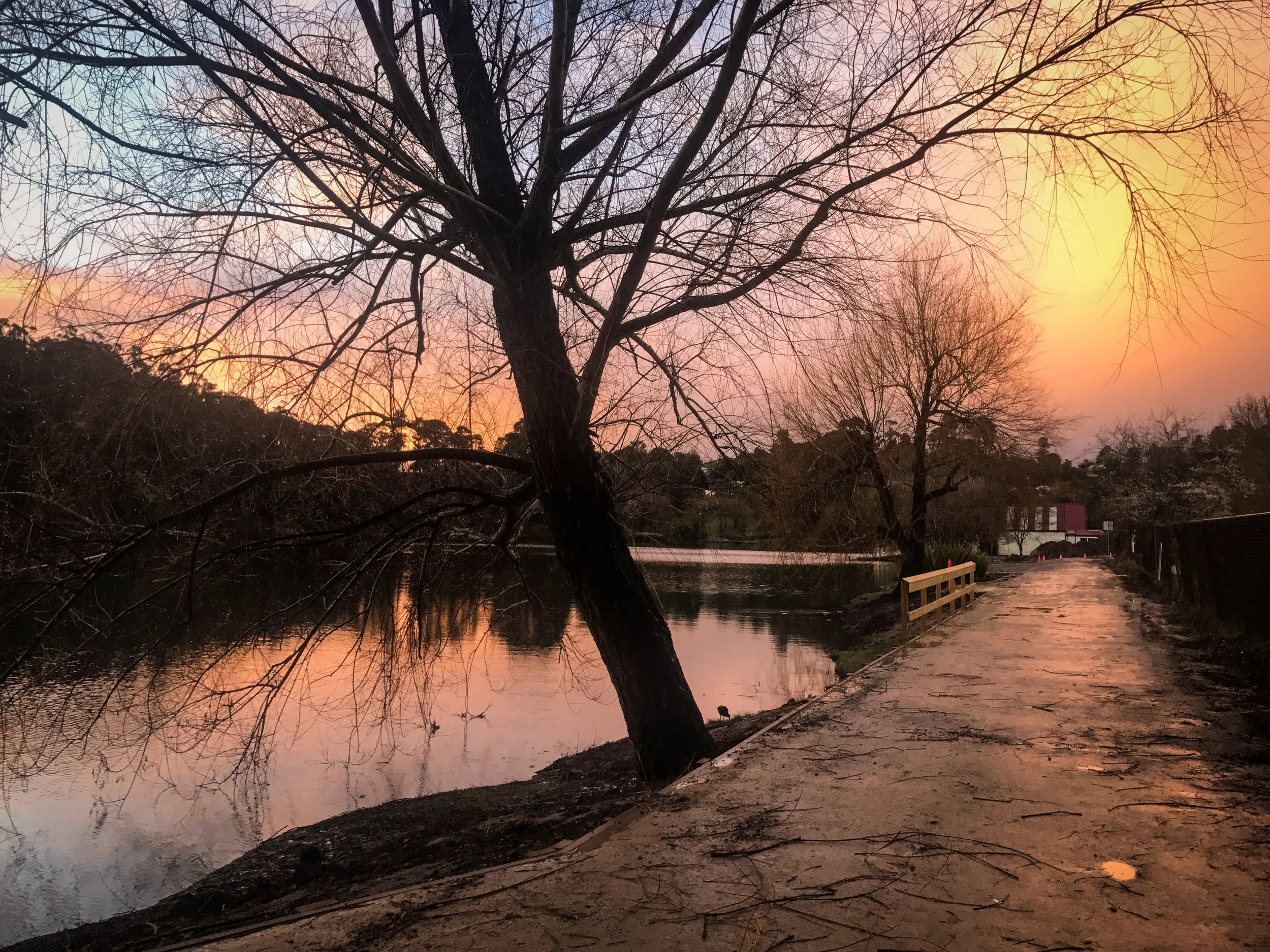 Sunset Lake Daylesford.jpg