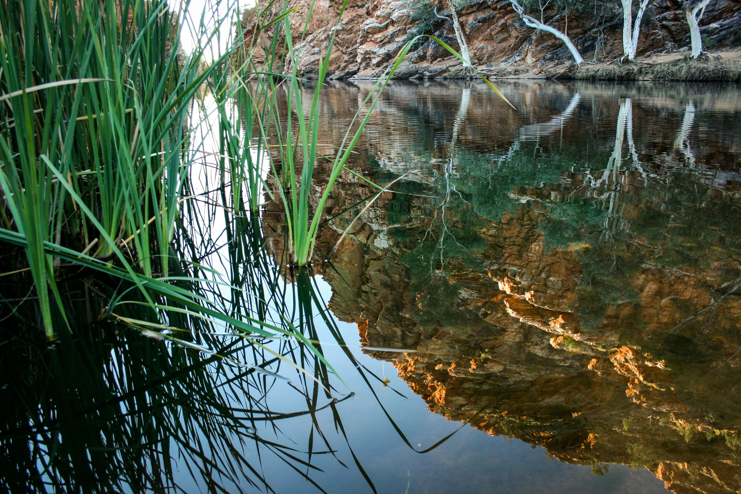 Water hole MacDonnell Ranges.jpg