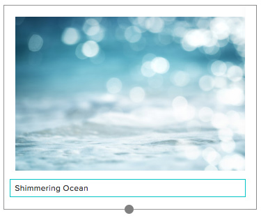 Squarespace caption alt text