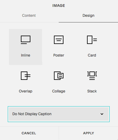 Squarespace - do not display caption