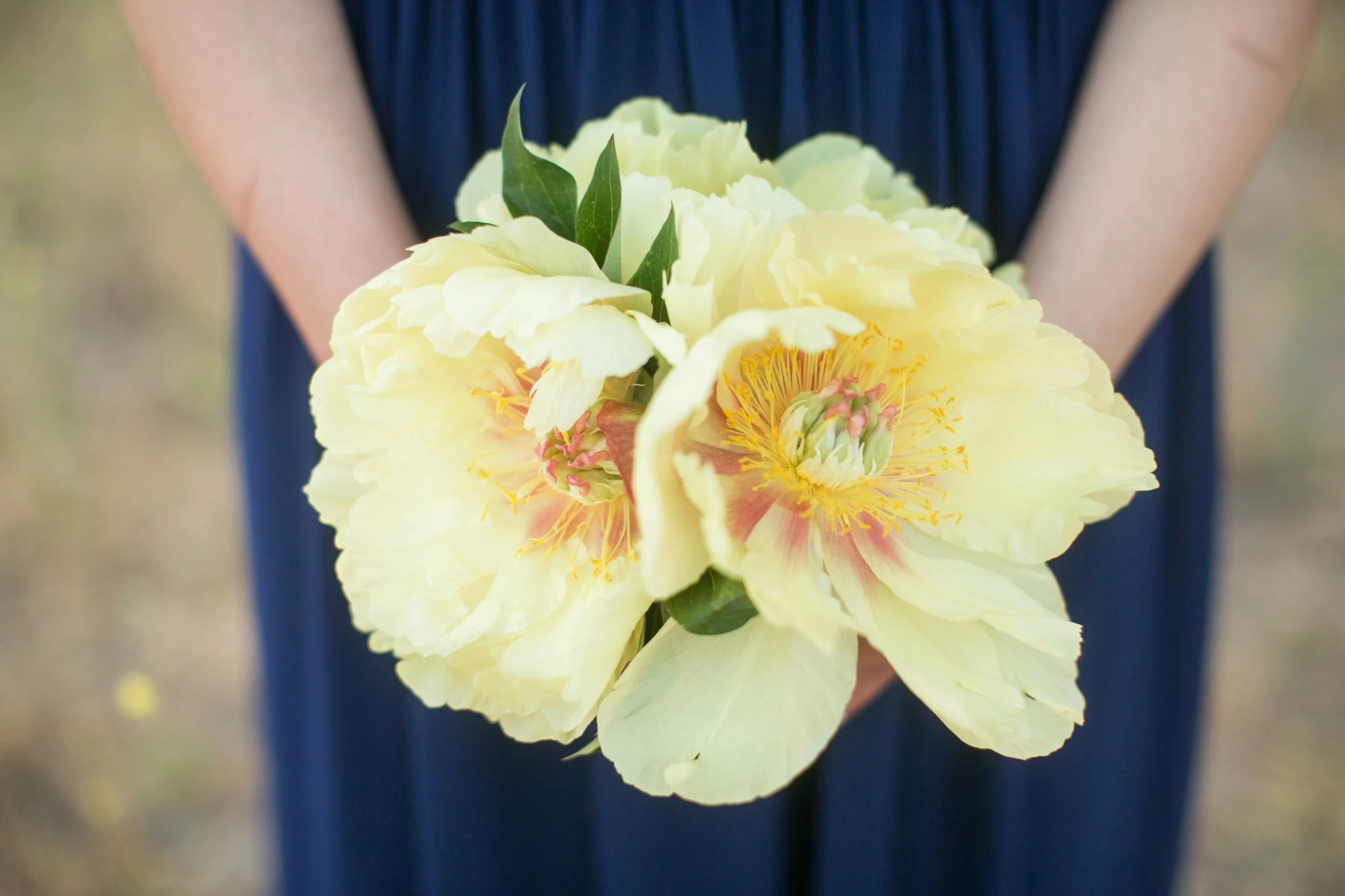 20140601flower-482.jpg