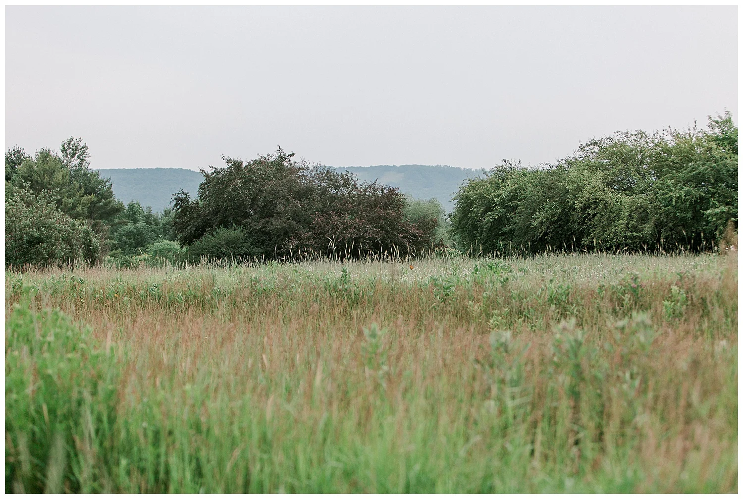 Lauren Baker Photography wedding photographer mn elopement Bayfield