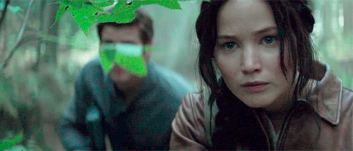 14.gif