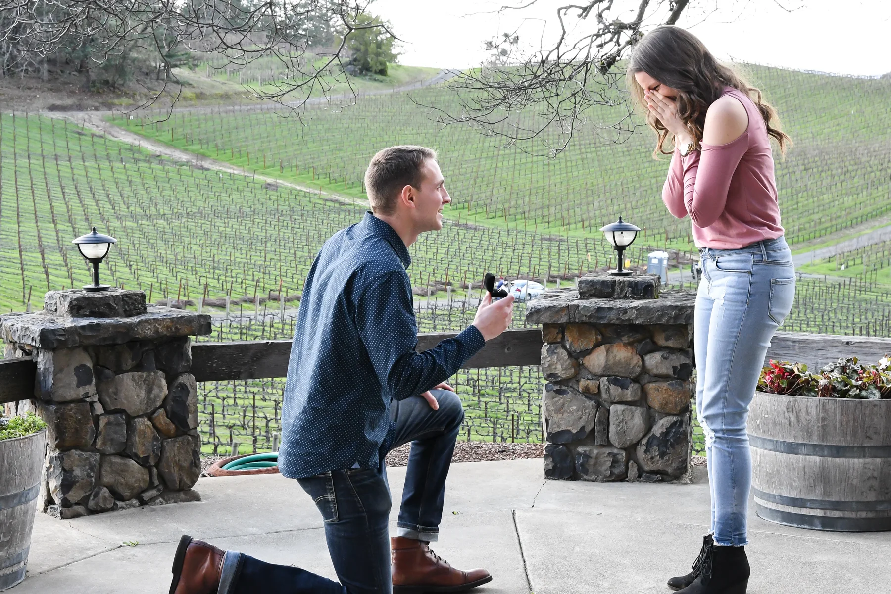 64. surprise-proposal.jpg