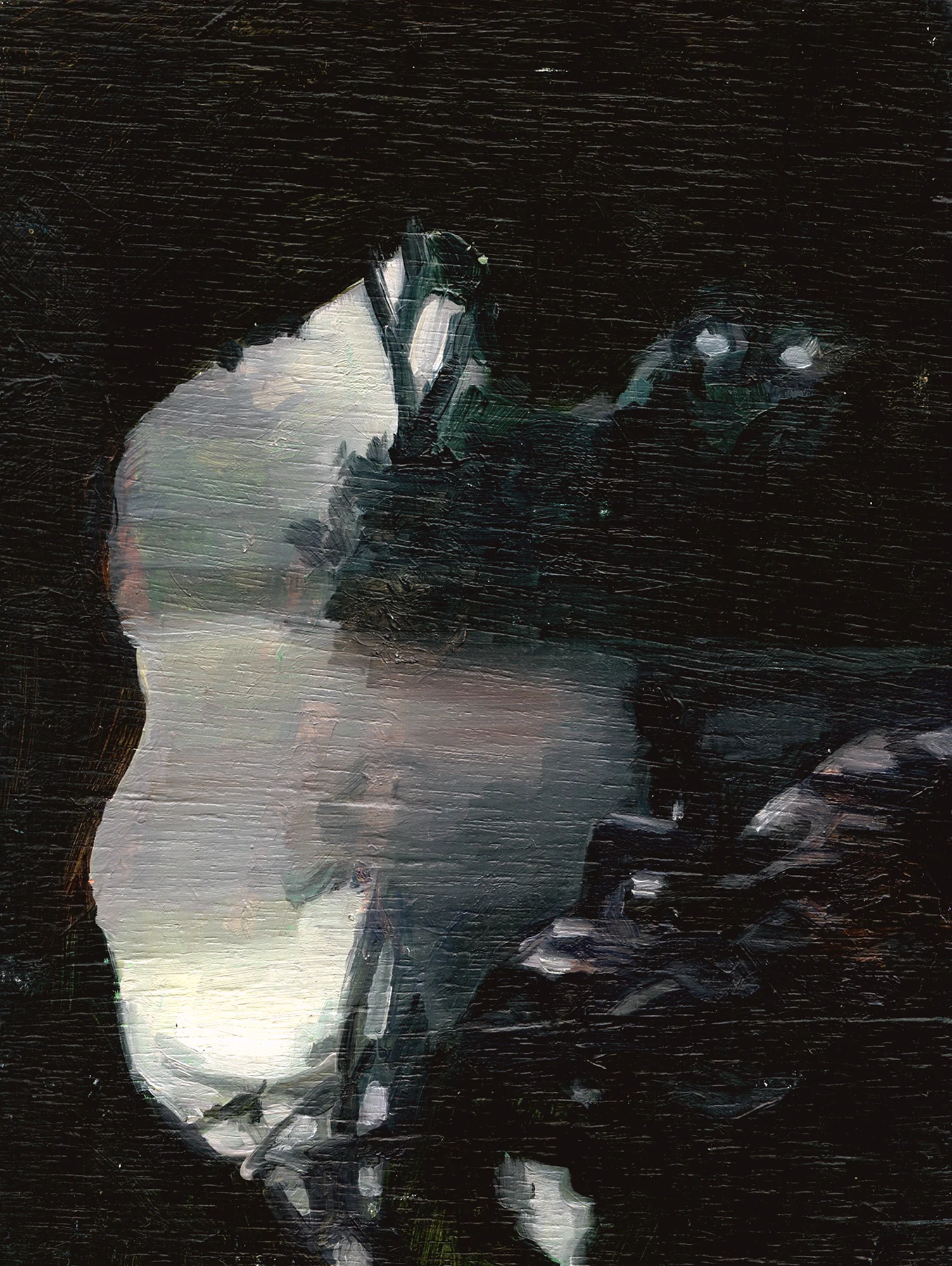 Dark Waterhole
