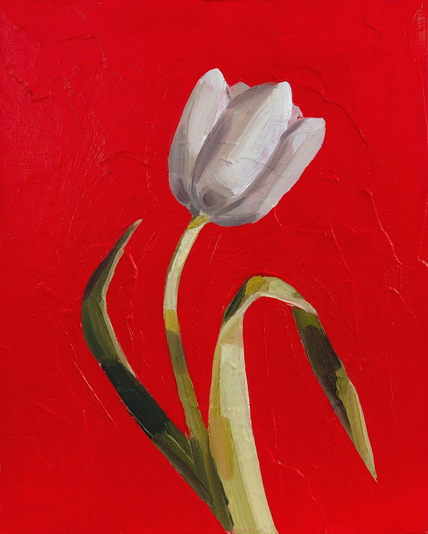 Rouge
22 August &mdash; 29 August
Studio Gallery Group, Brisbane

Delphine
25 x 20cm
Oil on board I 2025

A cadmium bloom
Catalogue available now
➰ link in bio 

#LaurenJones #RougeExhibition #StudioGalleryGroup