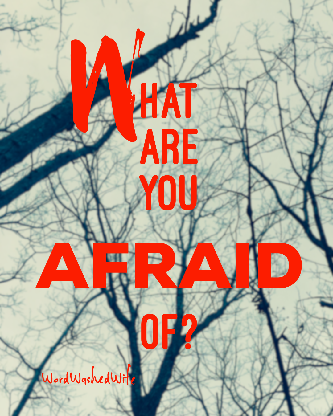 What are you afraid of?