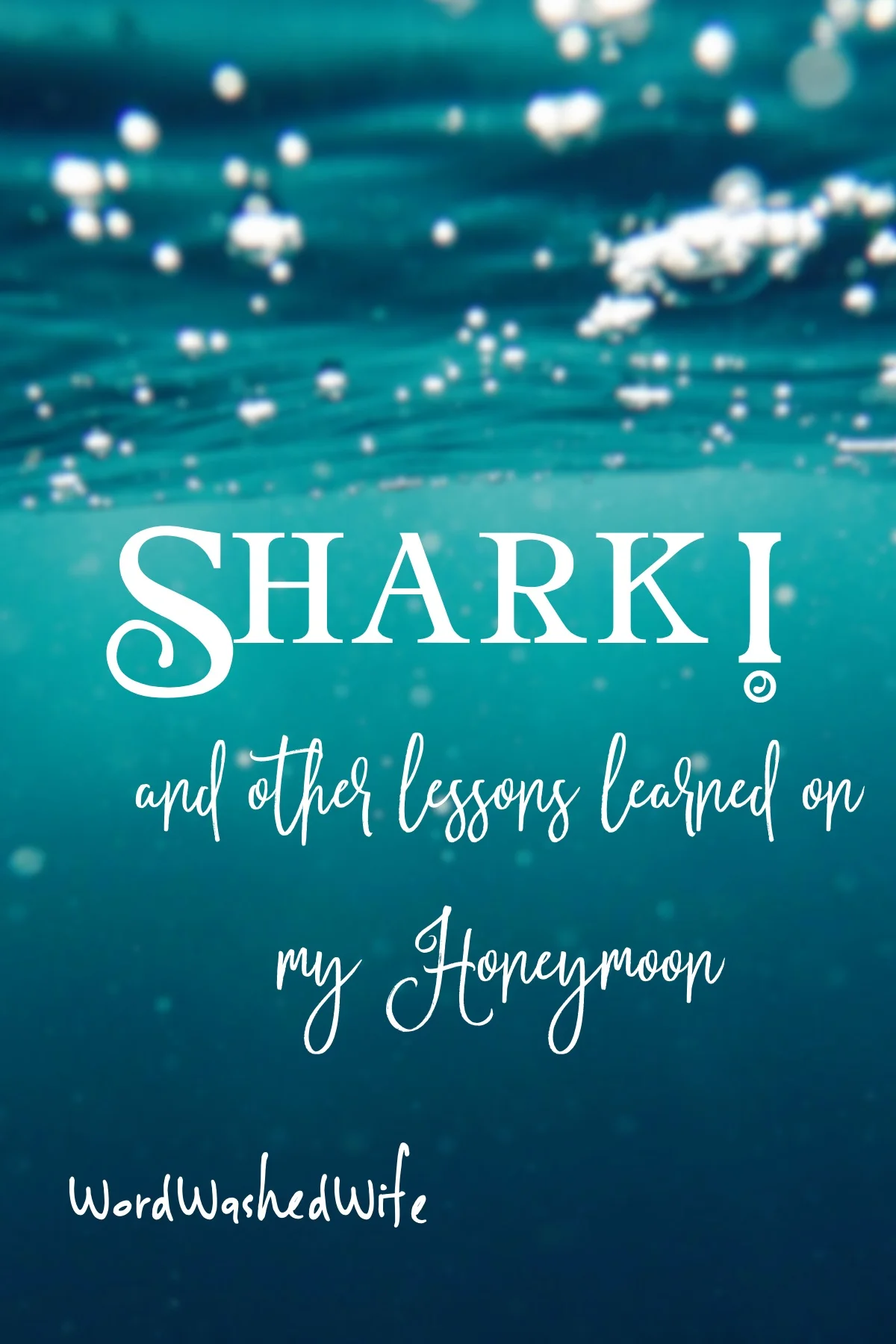 Shark!
