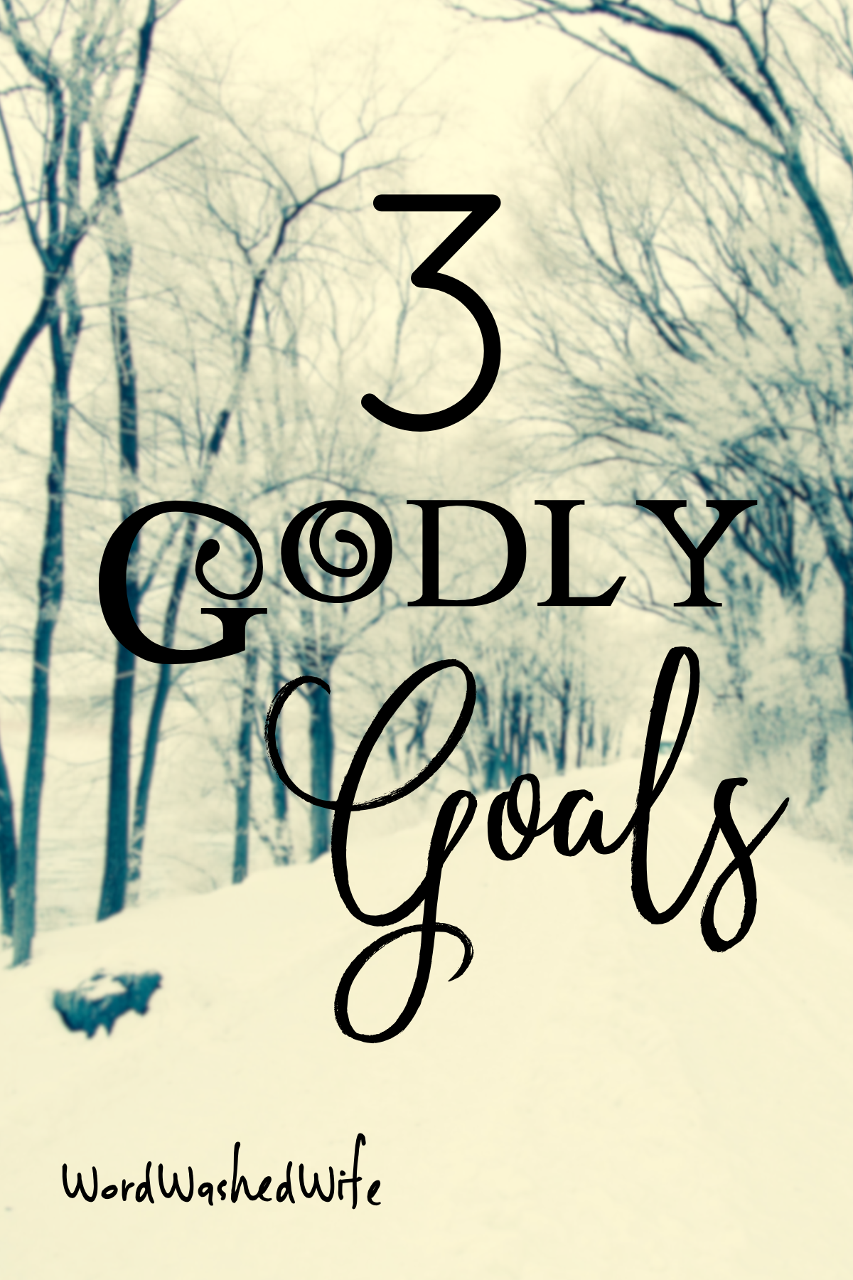3 Godly Goals 