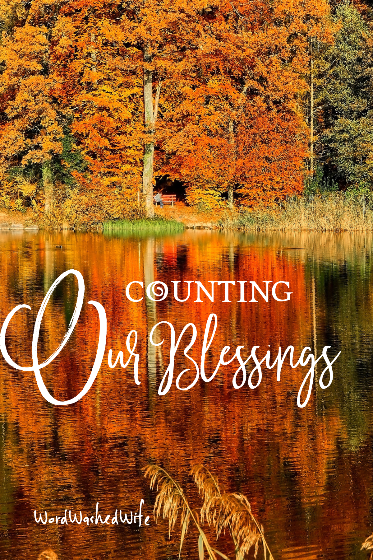 Counting Our Blessings