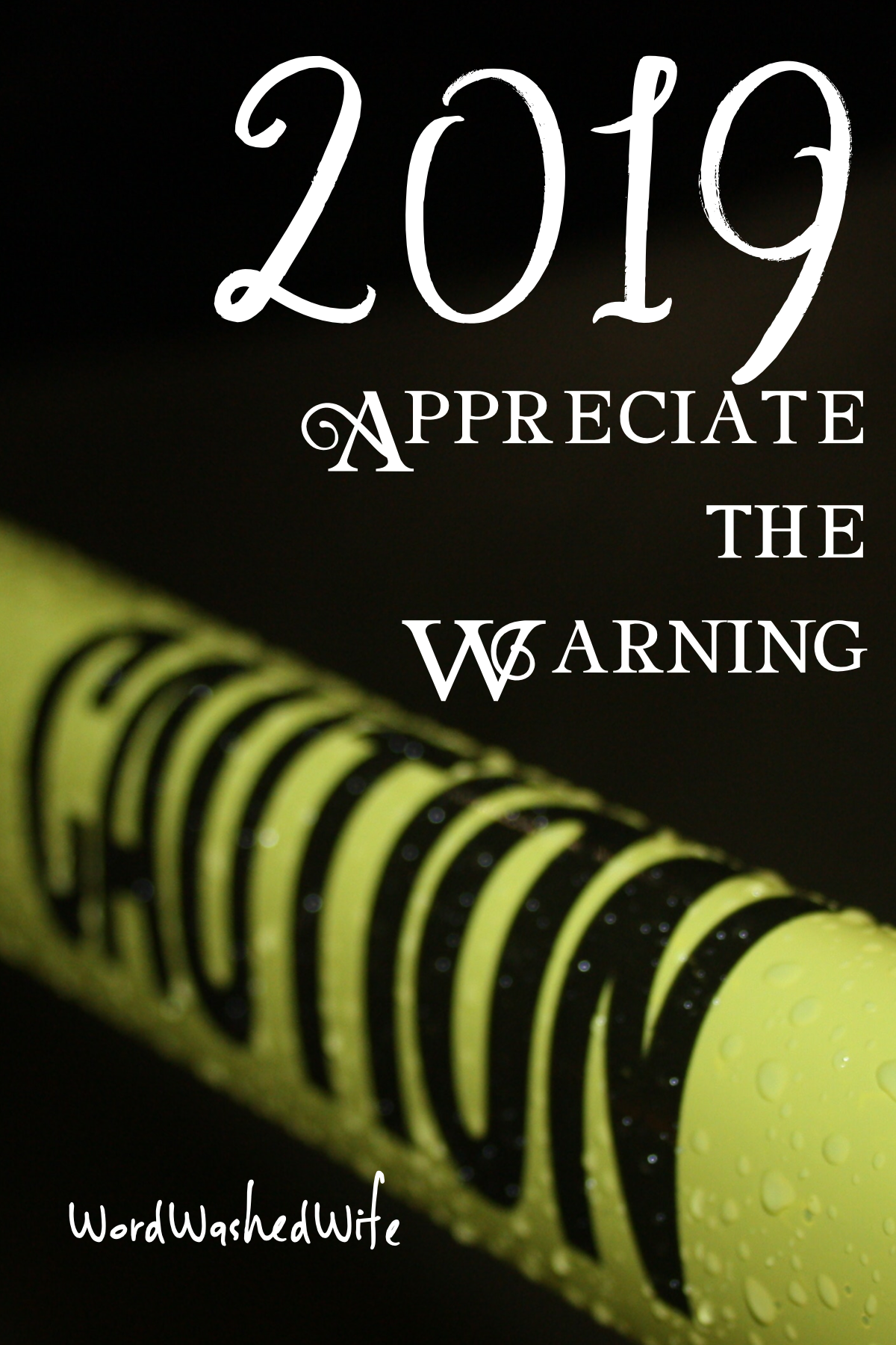 2019: Appreciate the Warning