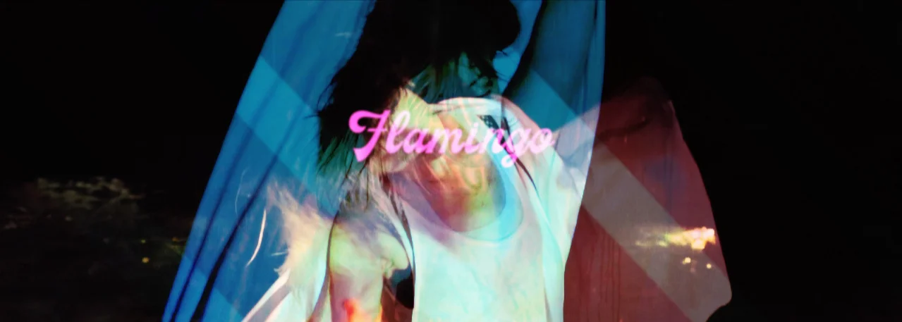 FLAMINGO_DREAM_VISUAL_FULL.00_14_21_12.Still002.jpg