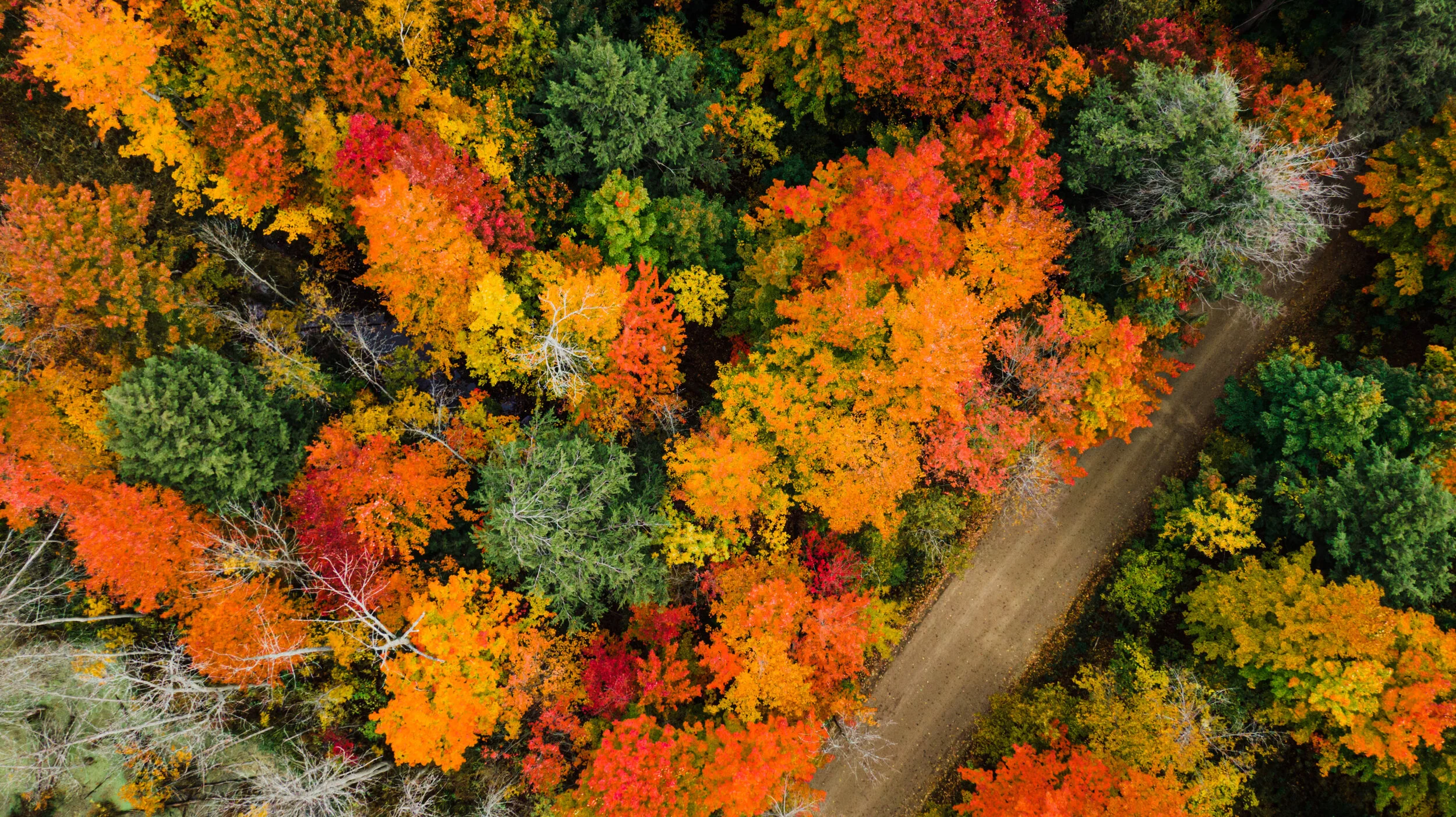 DJI_0193.JPG