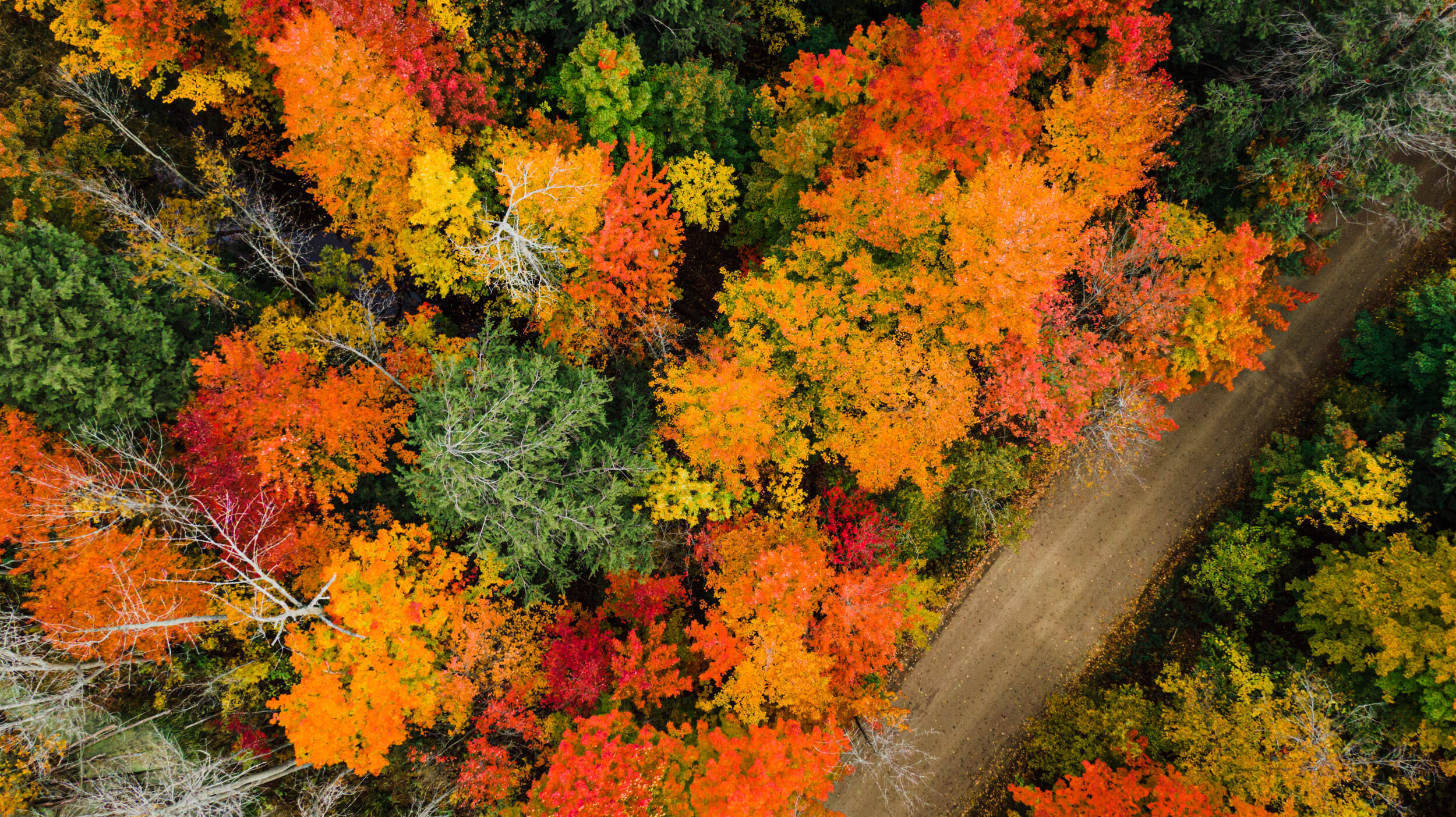 DJI_0192.JPG