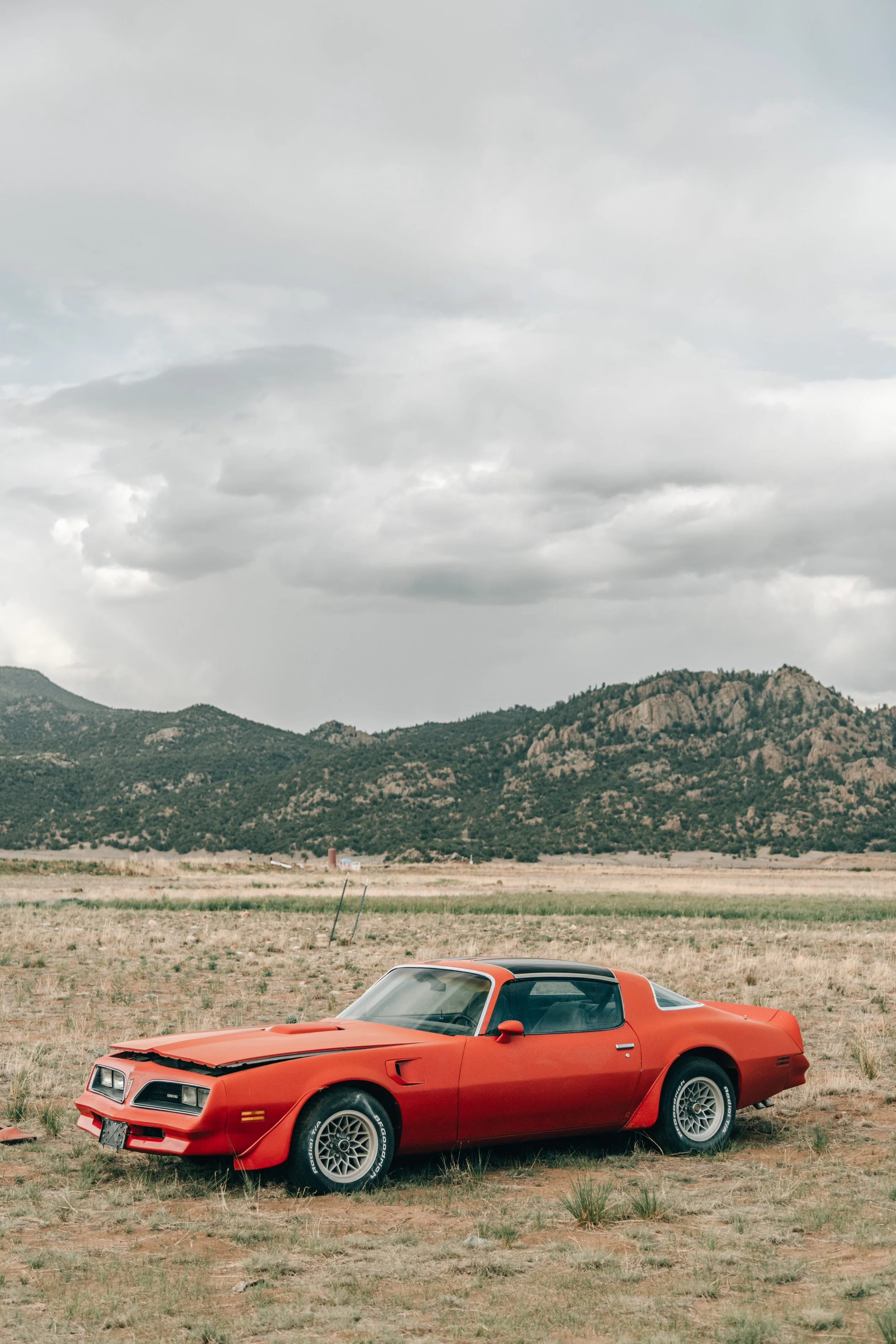 3X9A4336.jpg