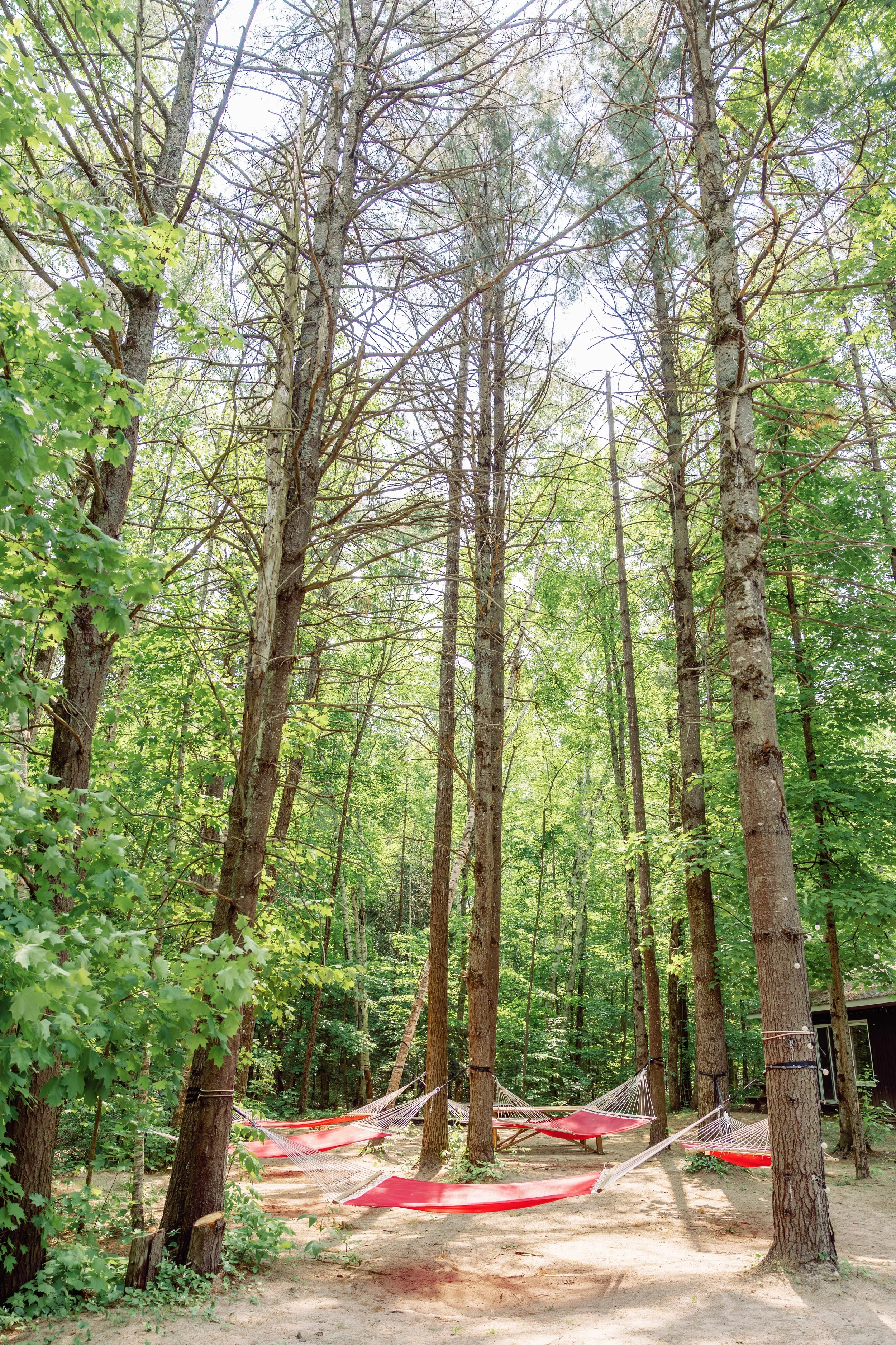 CastleAvenuePhotography.2025.MuskokaBeerSpa-180.jpg