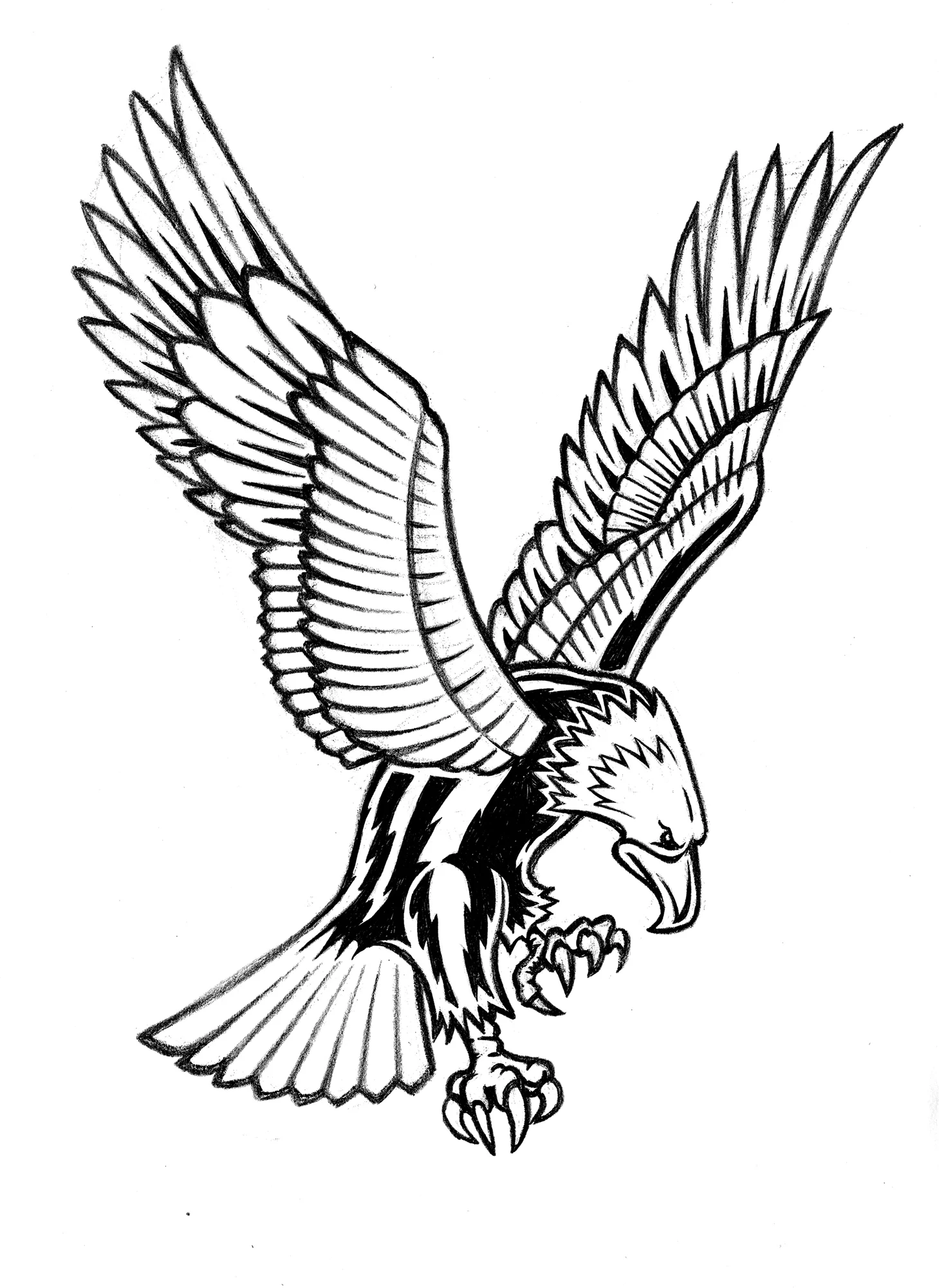 WQeagle2.jpg