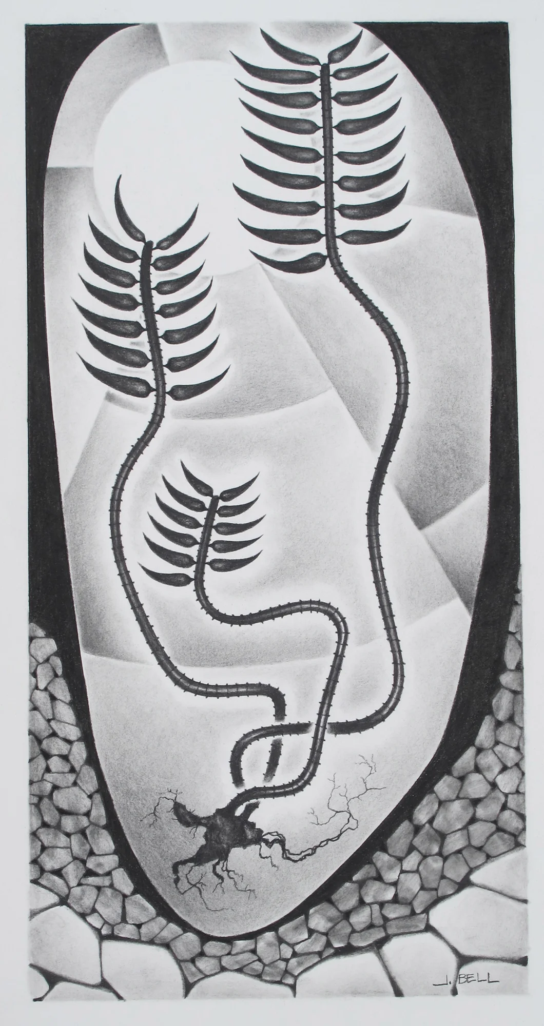 Specimen 15