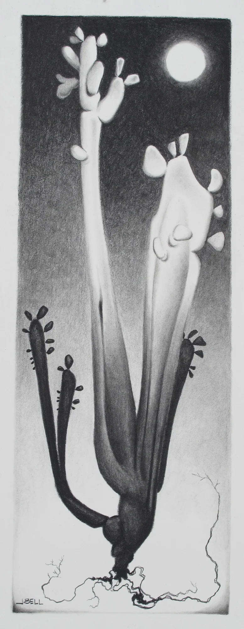 Specimen 20