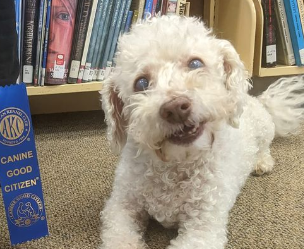 Read With Yuki at Tri-City Elementary