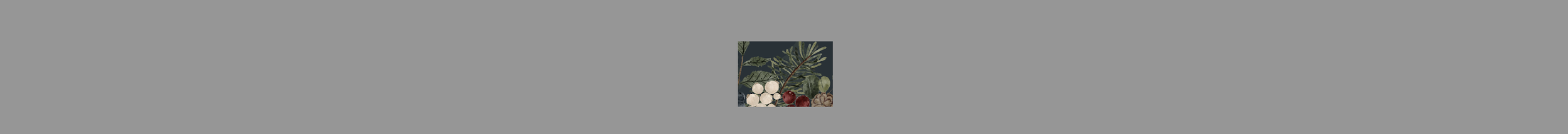 Holiday Centerpiece Workshop