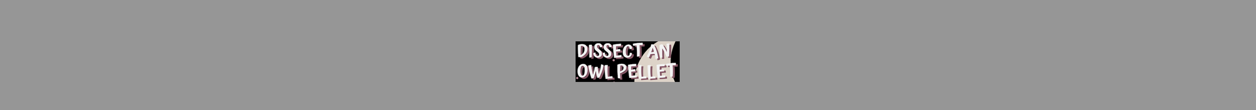Dissect an Owl Pellet