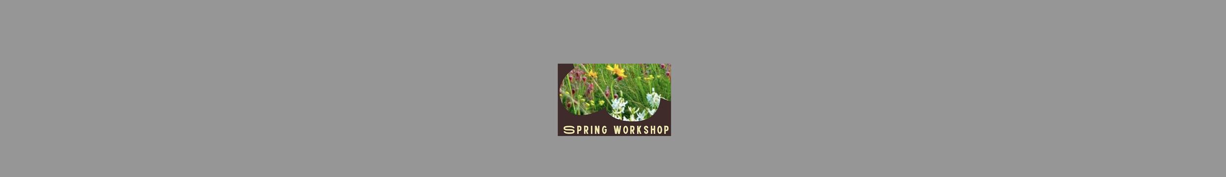 Spring Workshop