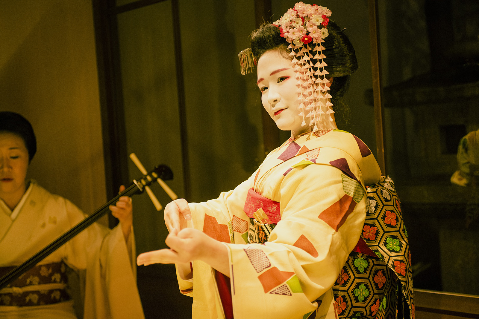 detouur_kyoto_geisha_enkai_dinner_151.jpg