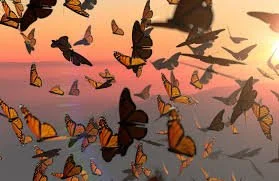 A Tale of Transformation - Eshu Martin