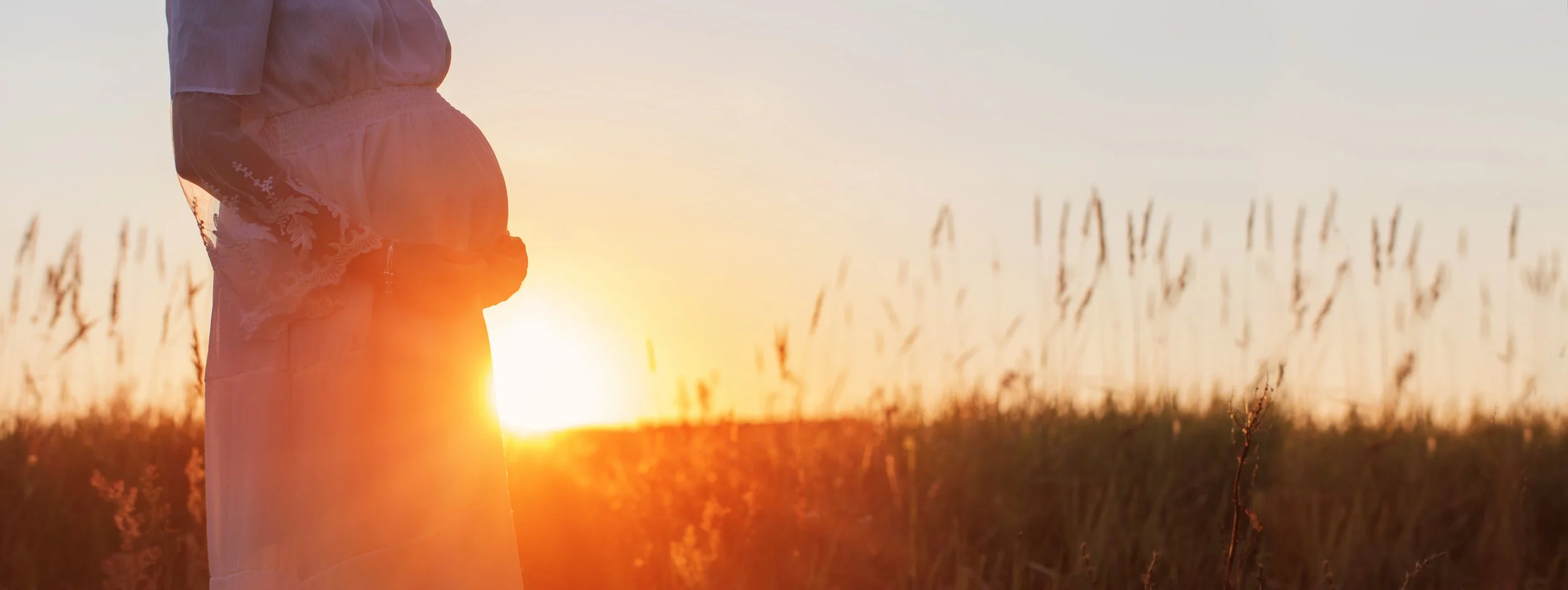 Reconnecting to The Wheel of the Year - A New Animist Approach