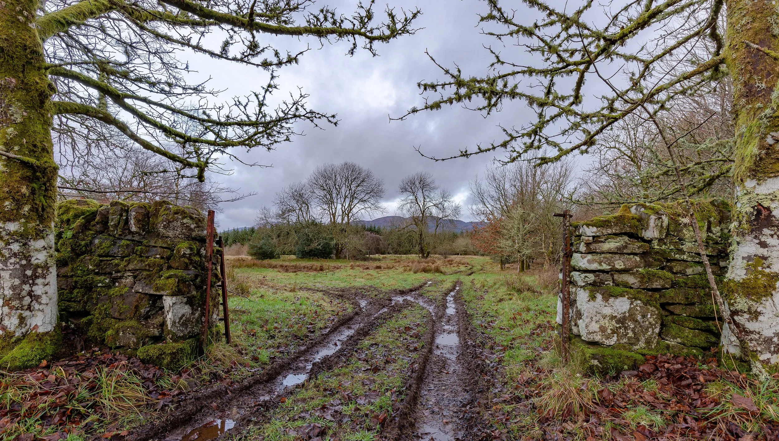 3840px-Gate_and_farm_tracks_close_to_Gartur_Stitich_Farm,_Scotland.jpg
