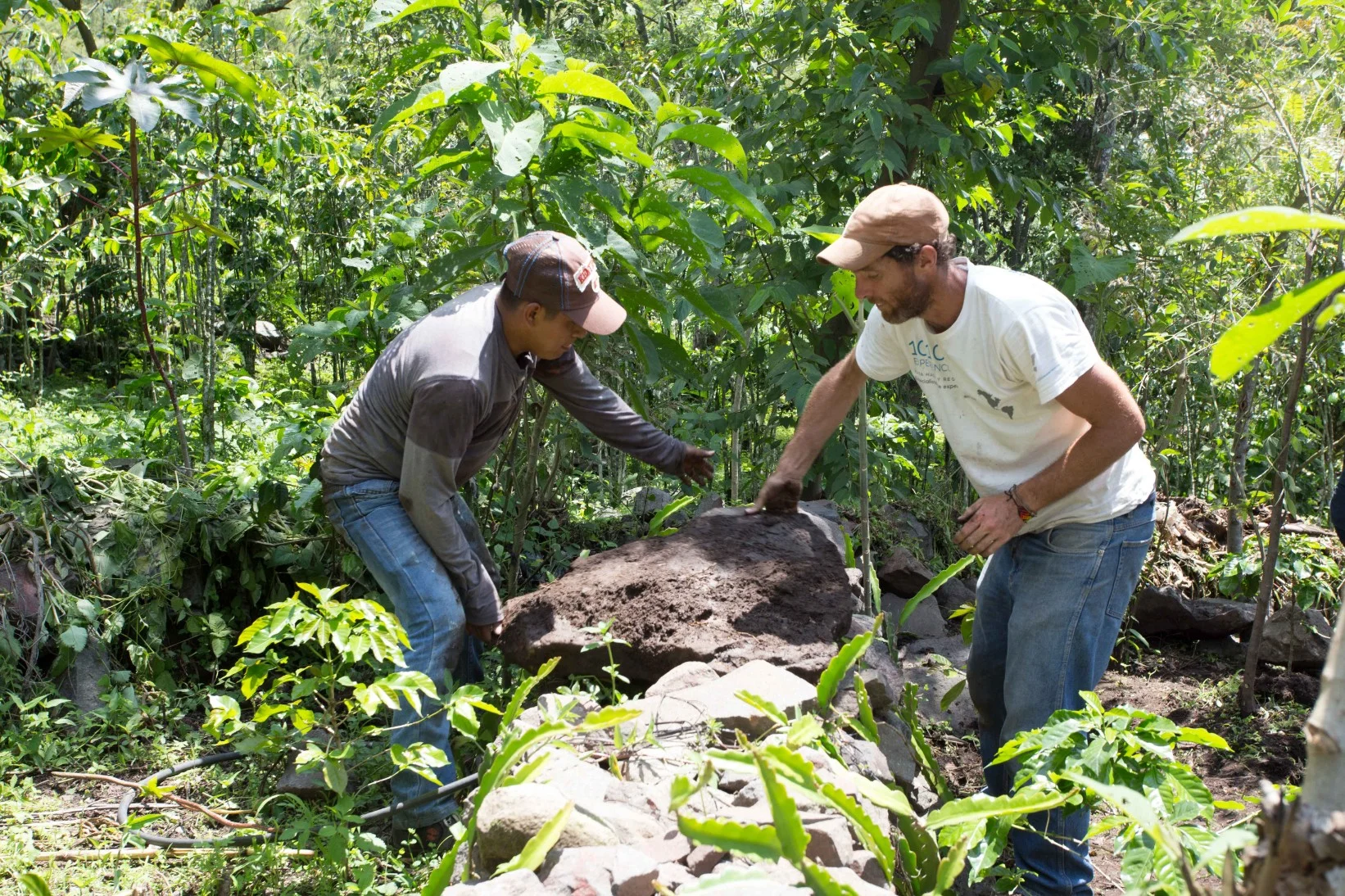 Food security, volunteer, community service, ethical tourism, sustainable tourism, ecotourism, biodiversity, reforestation, conservation, maya, mayan, lake atitlan, tzununa, bambu guest house, atitlan organics. service work, service travel, atitlan, guatemala, central america, indigenous