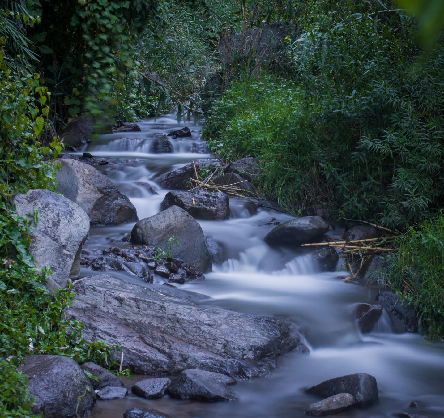 Flowing Stream as relates to genito-urinary tract, Permaculture for the Herbalist’s Path, an integrated Permaculture Design Certification and Herbal Studies course, with the Bambu Guest House, Atitlan Organics, and Punta Mona, September 23-October 18, 2019 at Lake Atitlan, Guatemala