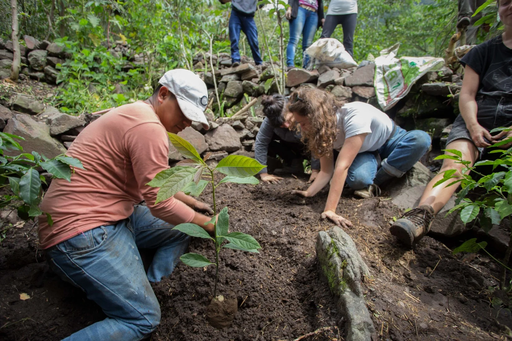 Permaculture Design Certificate course with Atitlan Organics at Lake Atitlan, Guatemala 2019 2020.
