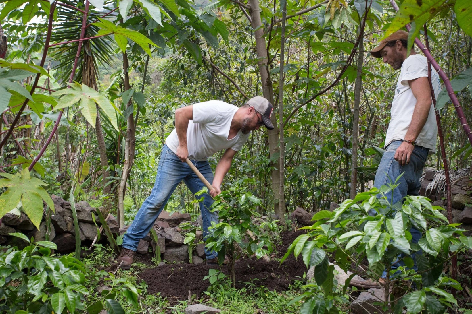 Permaculture Design Certificate course with Atitlan Organics at Lake Atitlan, Guatemala 2019 2020.