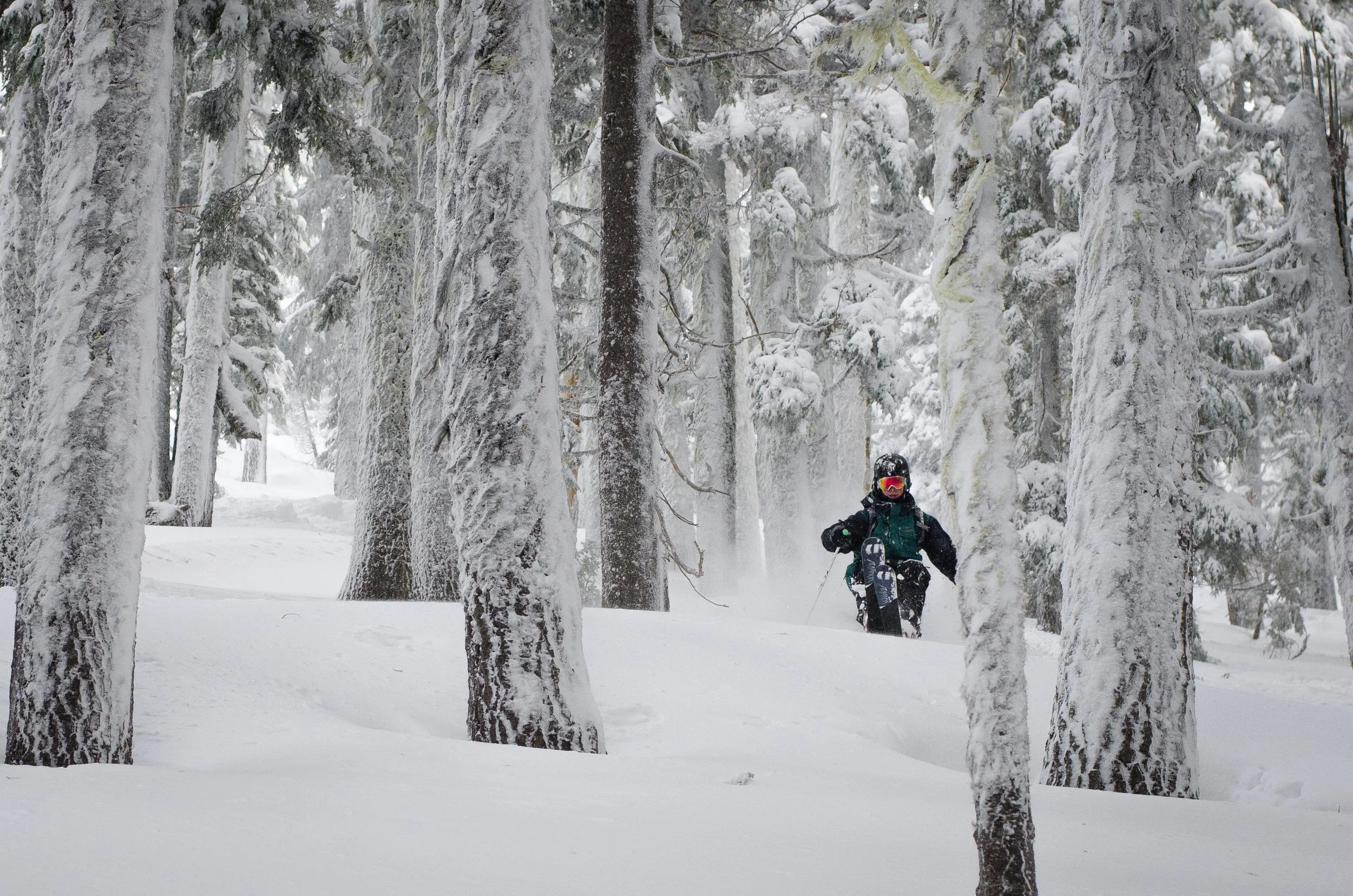 DSC_1312.JPG
