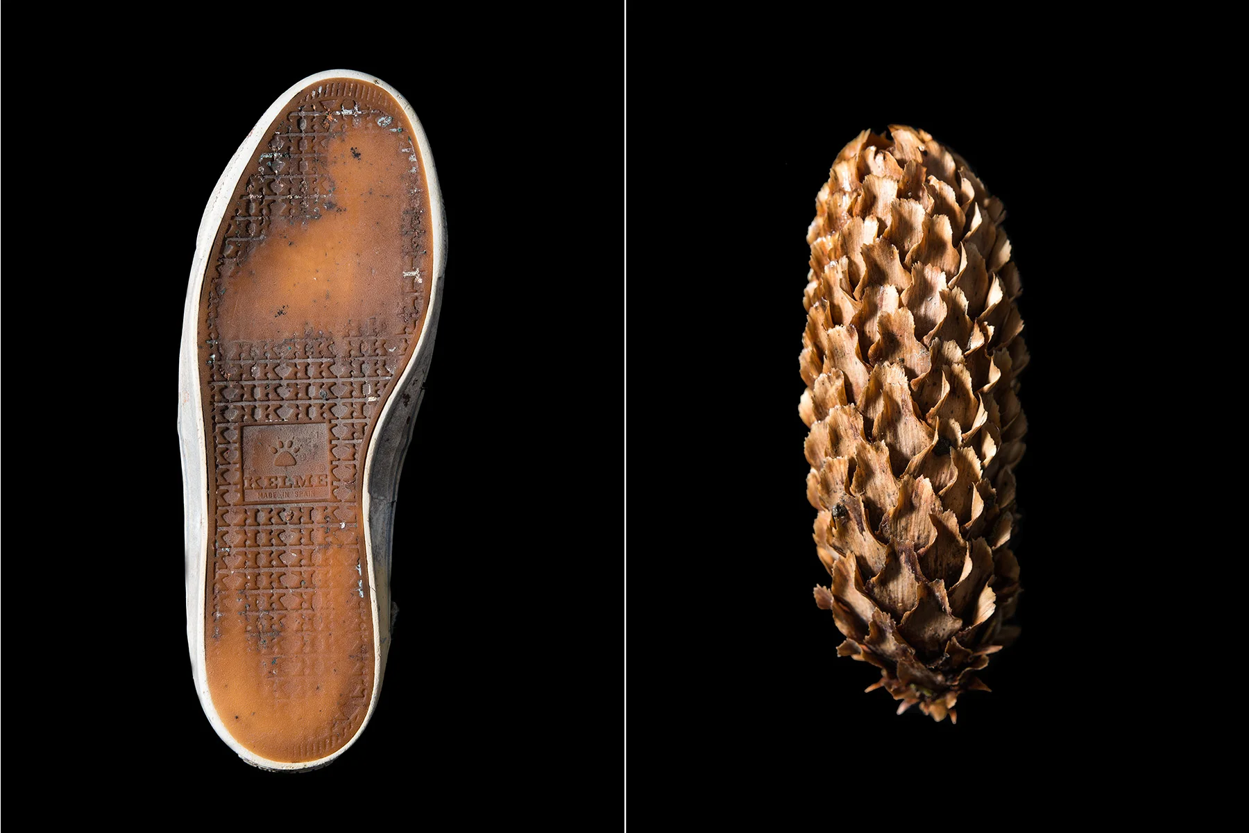 Shoe_Pinecone_Prints_6x4_Plastic_NaturalComparrison.jpg